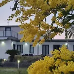 Stone Garden 埃尔科拉诺