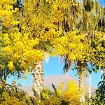 Bed & Breakfast Stone Garden 3*