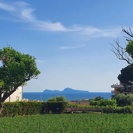Alojamento de Acomodação e Pequeno-almoço Stone Garden Ercolano