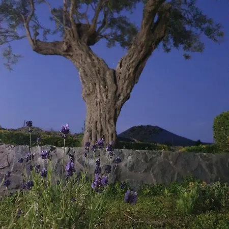 Alojamento de Acomodação e Pequeno-almoço Stone Garden Ercolano