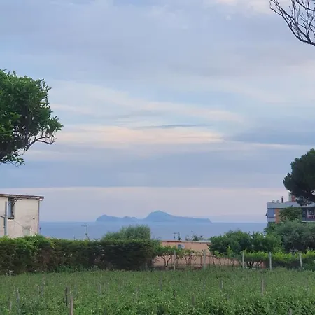 فندق مبيت وإفطار Stone Garden 3*