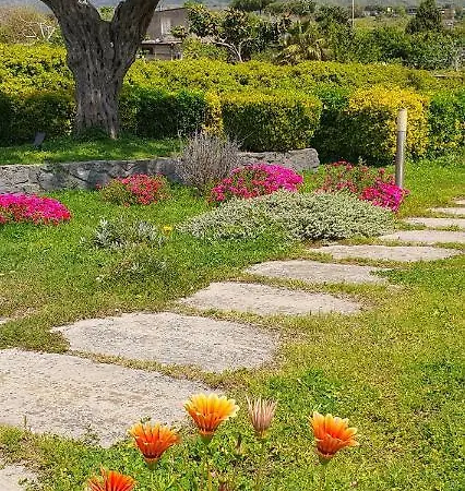 Stone Garden *
