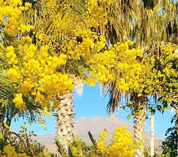 فندق مبيت وإفطار Stone Garden 3*