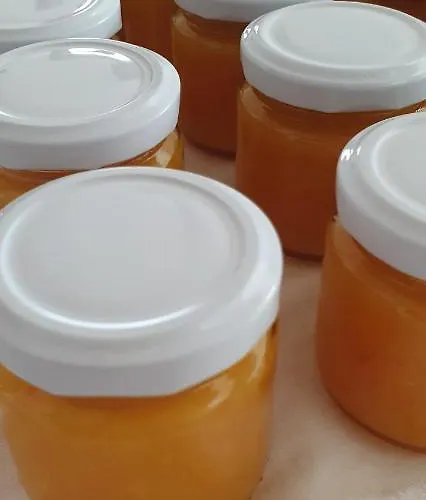 Stone Garden فندق مبيت وإفطار إيركولانو